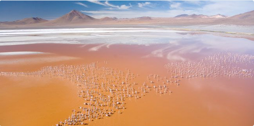 ZorpidisCA's tweet photo. Laguna Colarada, Bolivia http://t.co/weC83PrqMf