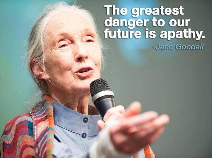 HAPPY BIRTHDAY to Jane Goodall!!!! 