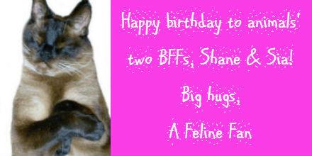 . The day you were born, the world became a kinder place. Happy birthday, Shane & Sia! 
