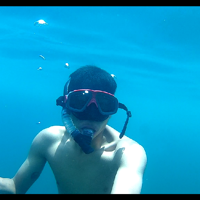 superlexe's tweet image. 