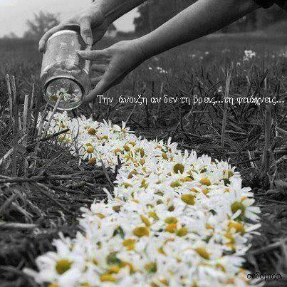 Αποτέλεσμα εικόνας για εικονες για ανοιξη με λογια