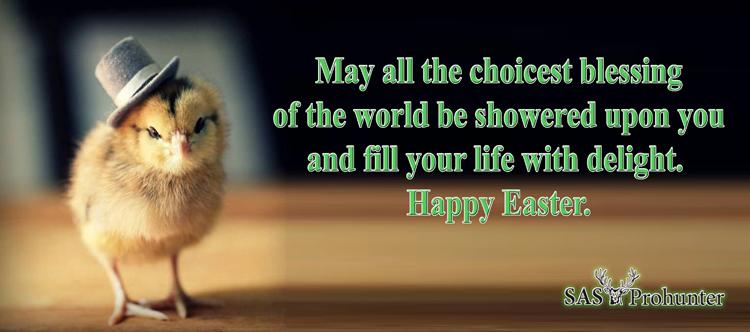 SASProhunter's tweet image. 