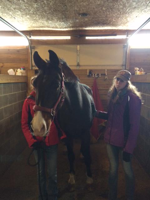 av_Ashley19's tweet photo. Love this Horse http://t.co/azgMNSMEhR