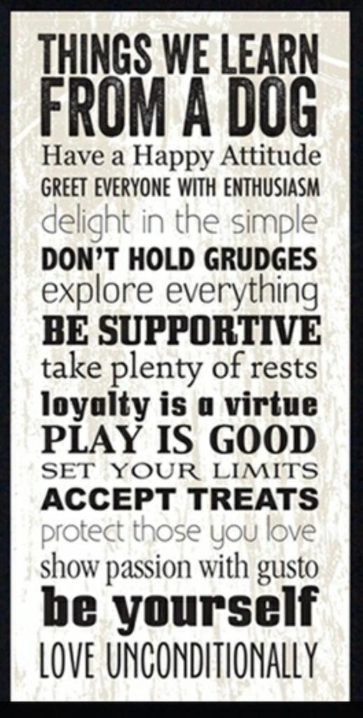 Things we learn from dogs. ..