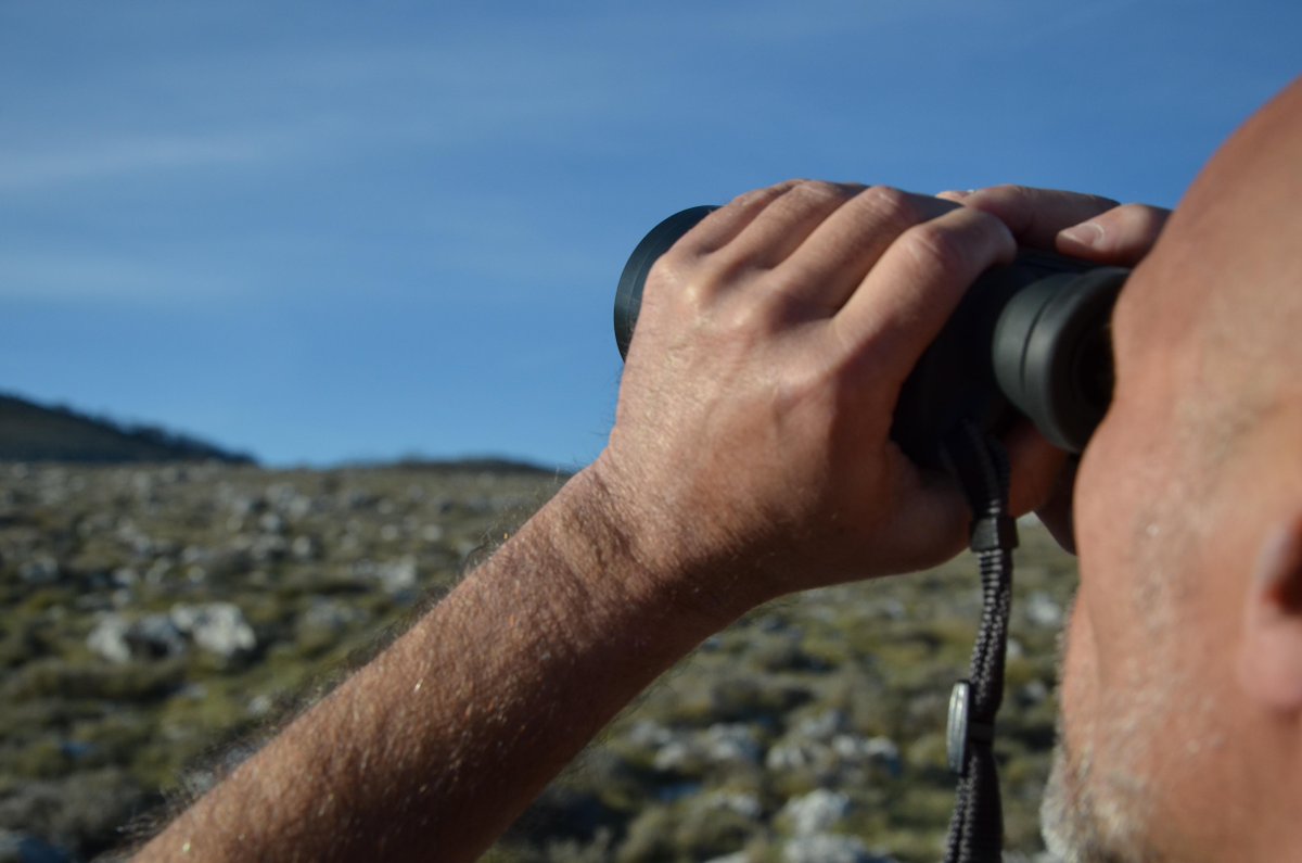 nathanmergy's tweet image. De simples jumelles pour tenter de #changer2monde. Mais de qui s'agit-il? Réponse bientôt dans @MonVoisinWebdoc.