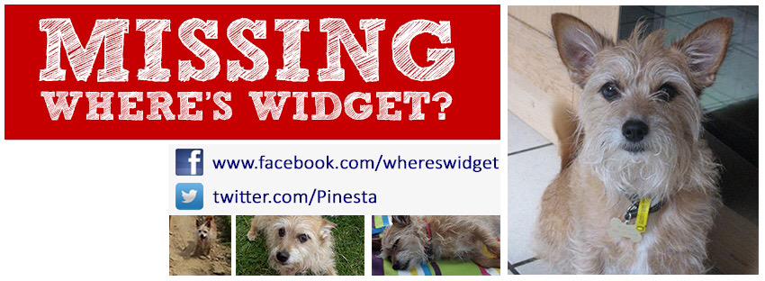 TooSoonMary's tweet photo. Pls help @Pinesta find #whereswidget #terrier #missing #Sheffield @Dr_Dan_1 owner devastated π’ pls #RT TY http://t.co/HCxOk0DpCf