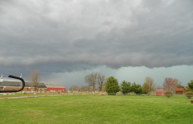 View image on Twitter