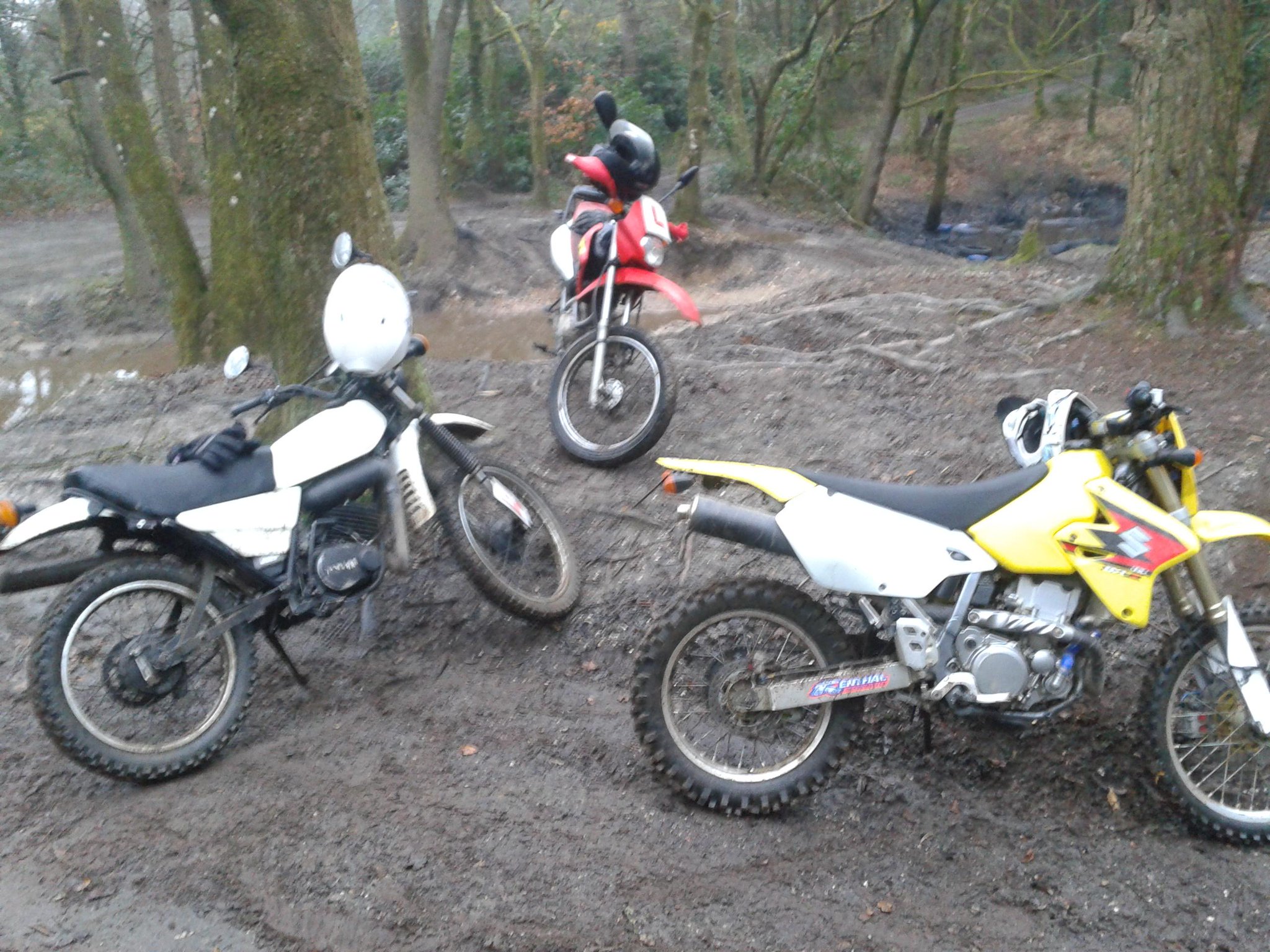 CBniQoMWMAI-Y0v.jpg:large