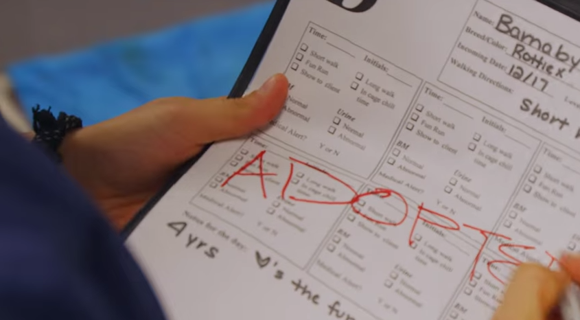 SinEmbargo tweet media