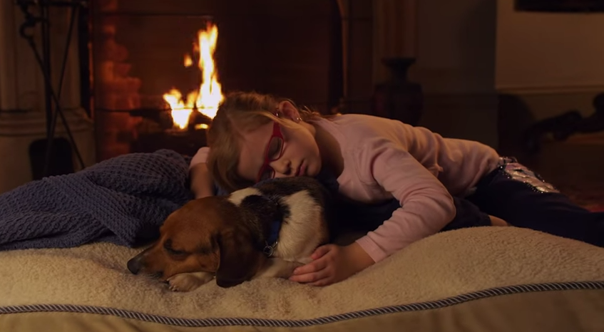 SinEmbargo tweet media