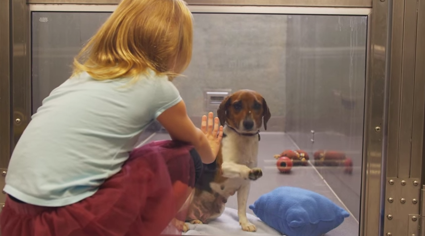 SinEmbargo tweet media