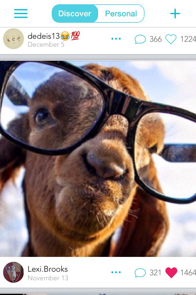 KaylaModrell's tweet image. This picture is so cute this is totally selfie worthy