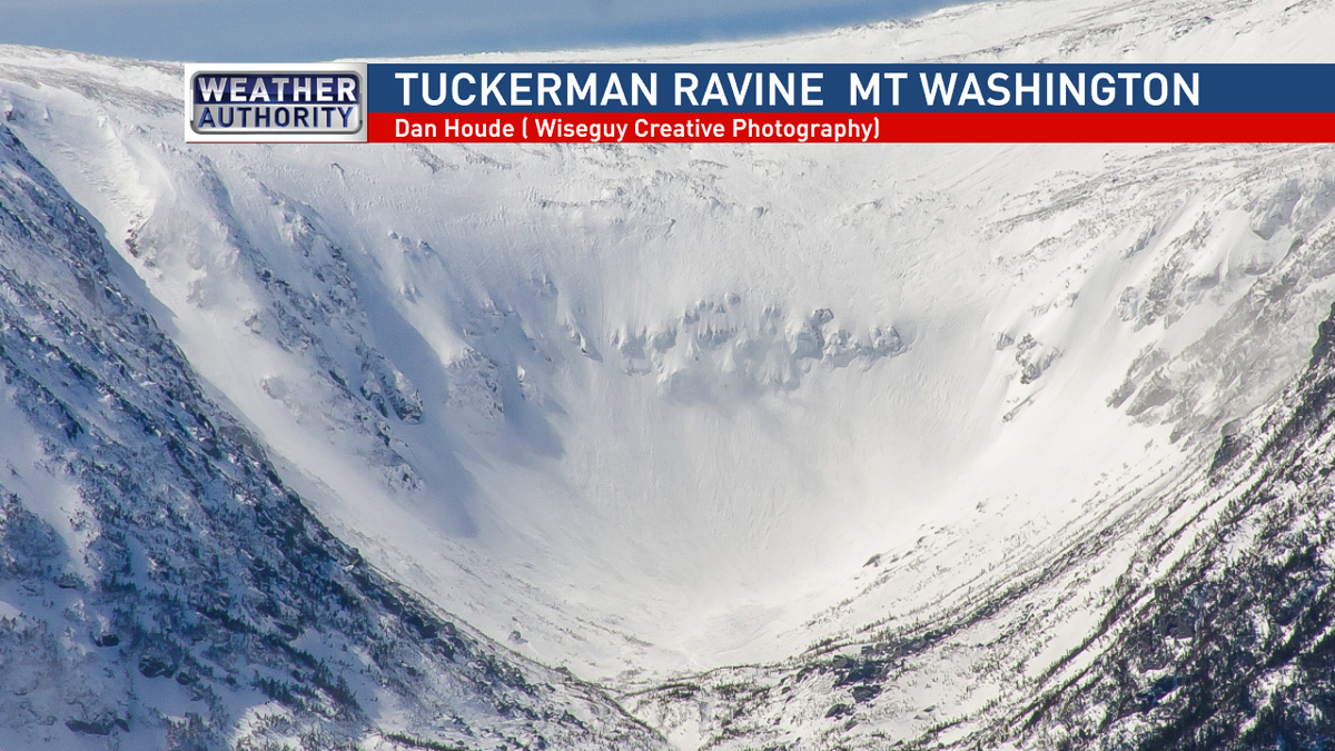 Charlie Lopresti tweet media