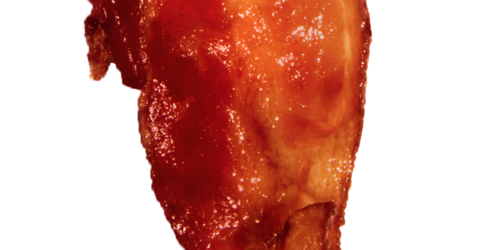 Inch forty-one of 3 ½ feet of bacon.