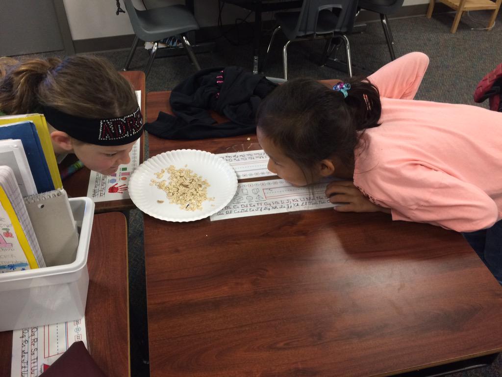gabbyyy_Proc's tweet photo. The kids love those mealworms!! #wcerangers http://t.co/wYGBgOJUIR