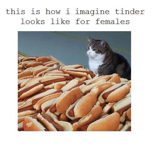 MikeLeithal's tweet photo. "This is how I imagine tinder looks like for females, especially their inboxes presumably" 😂 http://t.co/LGnzoUyCNW