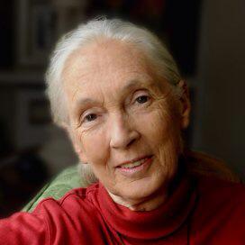 We would like to wish Dr.Jane Goodall a very Happy Birthday! A true inspiration for animals, people, and the world. 