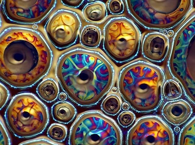 weird_sci's tweet photo. Oil bubbles under a microscope. http://t.co/g4IDCPNkJO