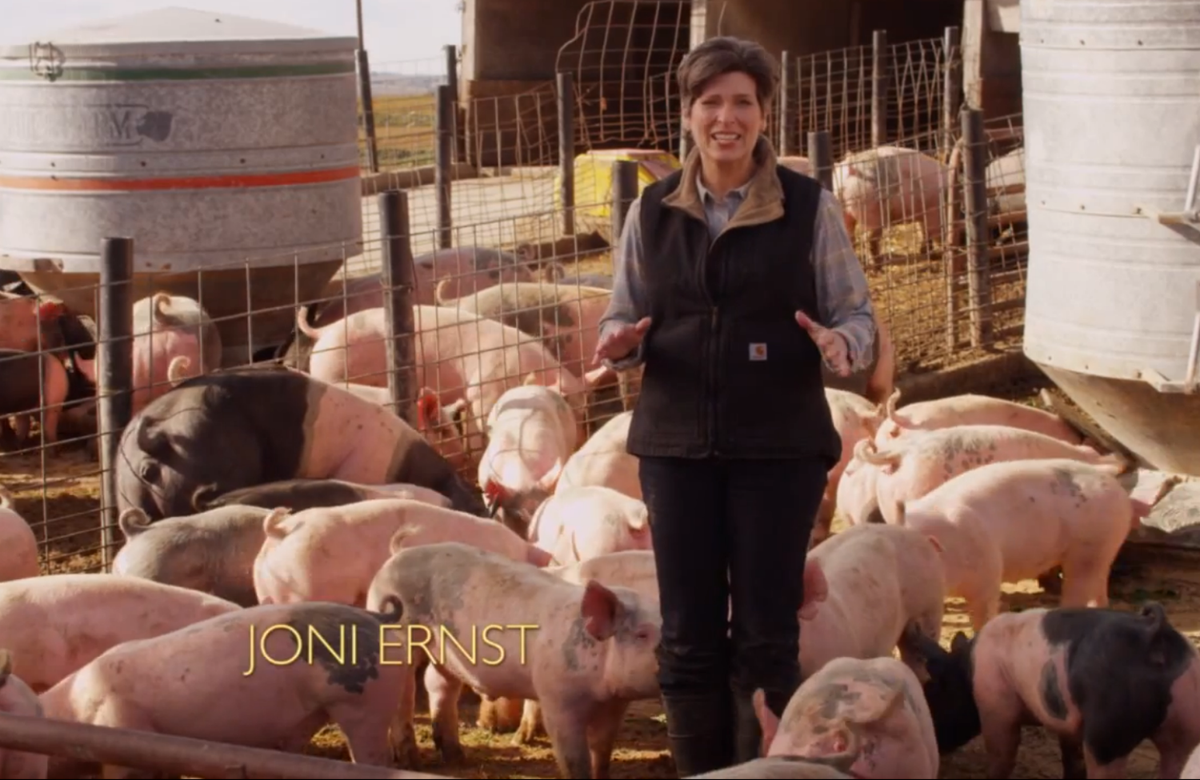 Charlize4Truth's tweet photo. I'm voting for a #StrongRepublicanWoman for POTUS in 2016 #RunJoniRun!! @joniernst @SenJoniErnst http://t.co/SiyOuJ3aiZ