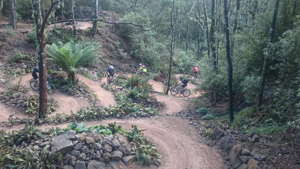LiFreddie's tweet photo. #SnapOfTheMonth Snaking up the trails #BlueDerby Tasmania http://t.co/RZvHN4IeI2