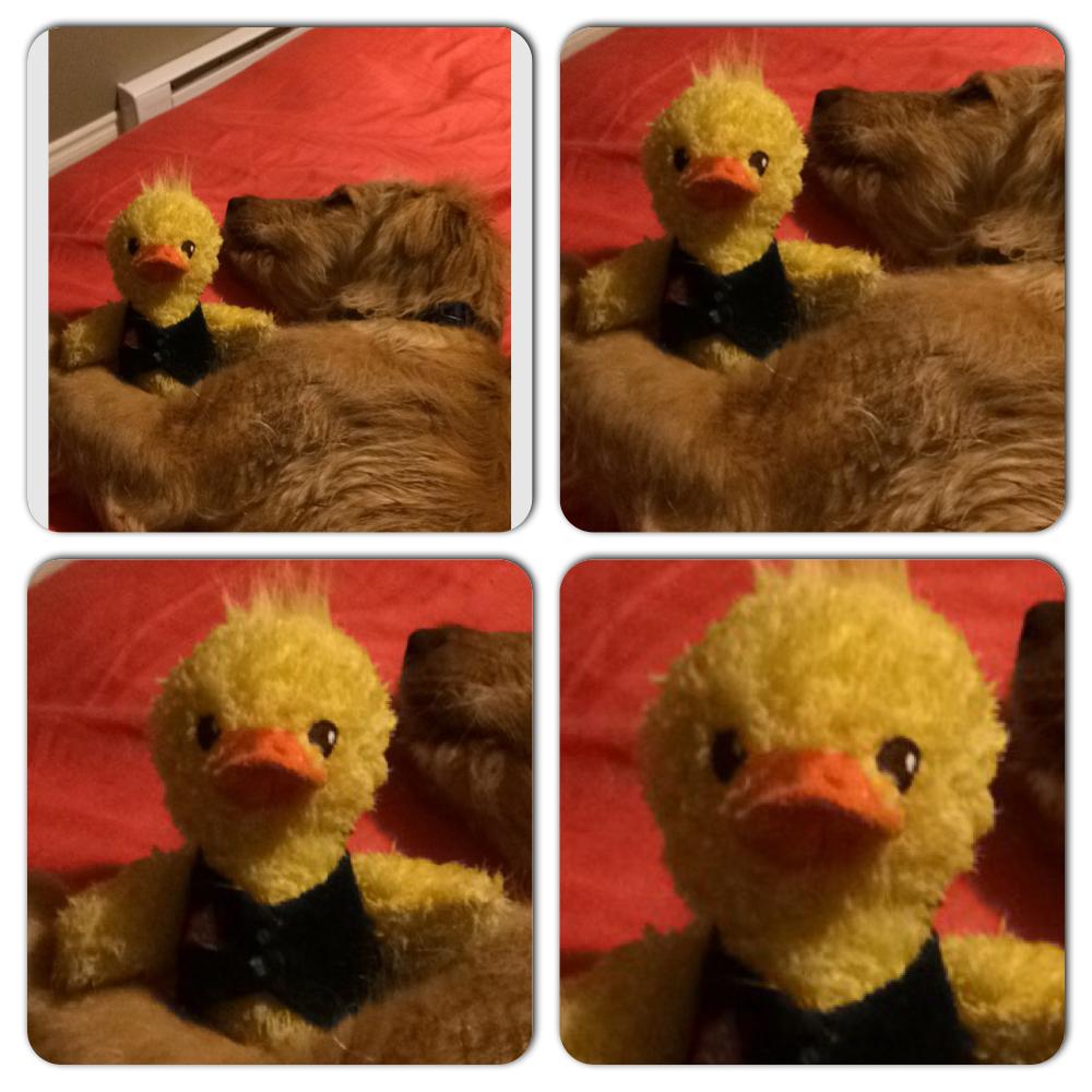 Erowe10's tweet photo. Me laying awake at night thinking about the #965experience #lollapalooza http://t.co/BzNhApoGPK