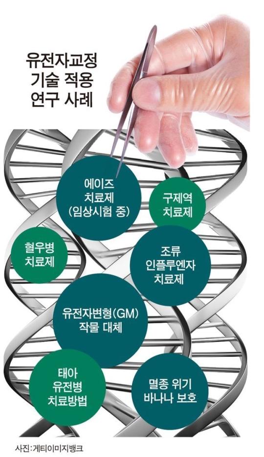science_engin's tweet photo. 국내 연구진, 멸종 위기 '바나나 구하기' 선언 http://t.co/HuM1TtRz7g 출처 : 한국일보 | 네이버 뉴스 http://t.co/6slZauNTKb