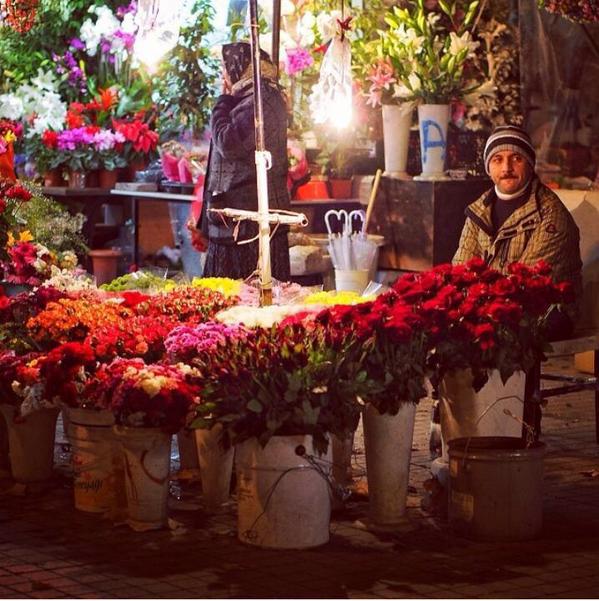 يحل محل منهجي المحتوى يباع الورد rosedalemasterplan com