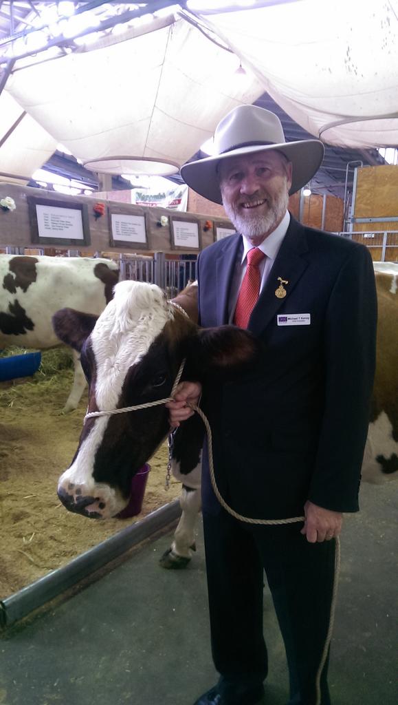 rachrodney's tweet image. #MichaelKenny getting hands on down in the cattle pavilion #youthruntheshow #youthinag #eastershow #acowpersonyet