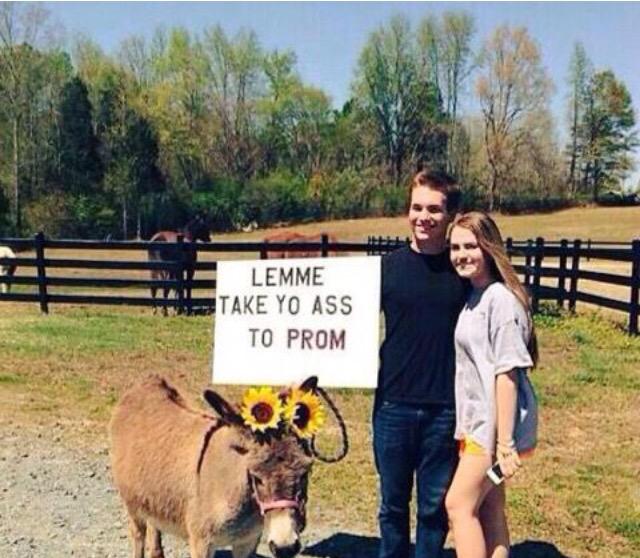 Spacetime444's tweet image. 😂😂😂