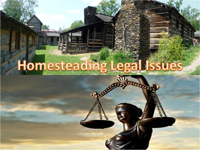 PreparedBlogger's tweet photo. Homesteading Legal Issues | @7_ps_blog | http://t.co/rnE4SBiaix | #prepbloggers http://t.co/LIwXluC6B5