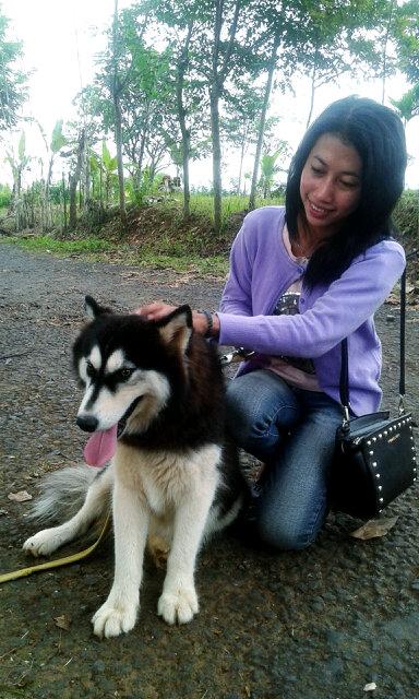 mellyagustine96's tweet photo. http://t.co/0gDokVNMLr