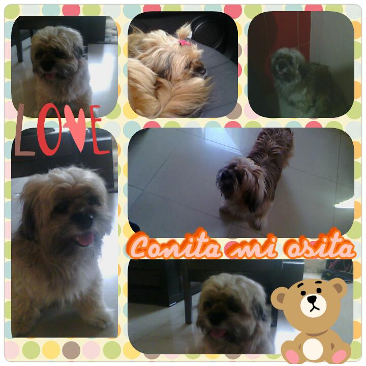 Amo a mi osita Cony!!! Es tan linda no??