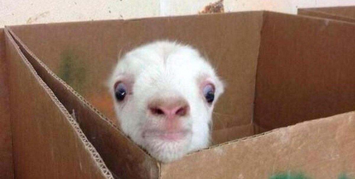Aeropostale's tweet photo. when you're taking a shower and hear a noise... http://t.co/8jmGLCNIhD