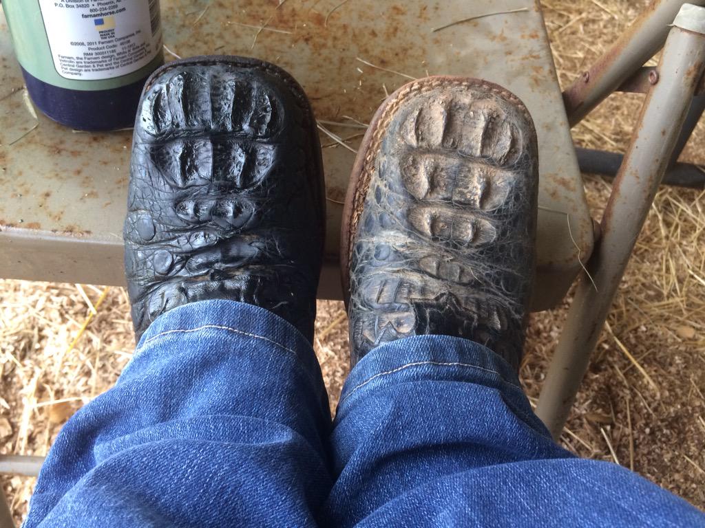 Neatsfoot is my new favorite 😍 #BootsOnFleek #FourYearsOld #LookNewAgain