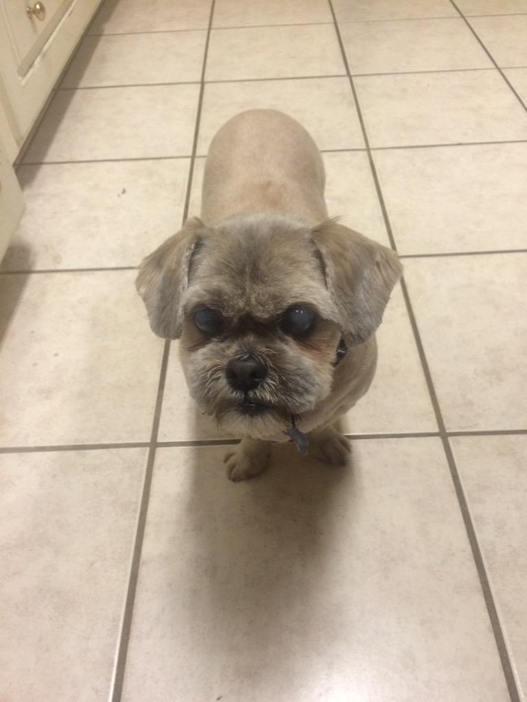 Moe wants to wish y\all a Happy Birthday ! 