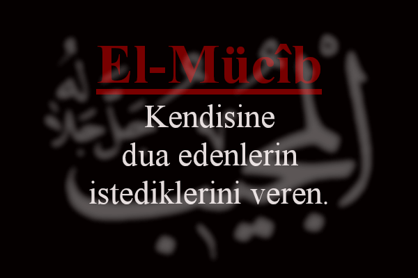 esmaulhussna's tweet photo. El Mücib https://t.co/1GLA1eKu0j