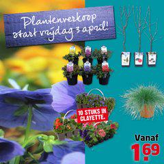 Formidoleeuwen's tweet photo. Plantjesmarkt! http://t.co/4vcmZnLUY0
