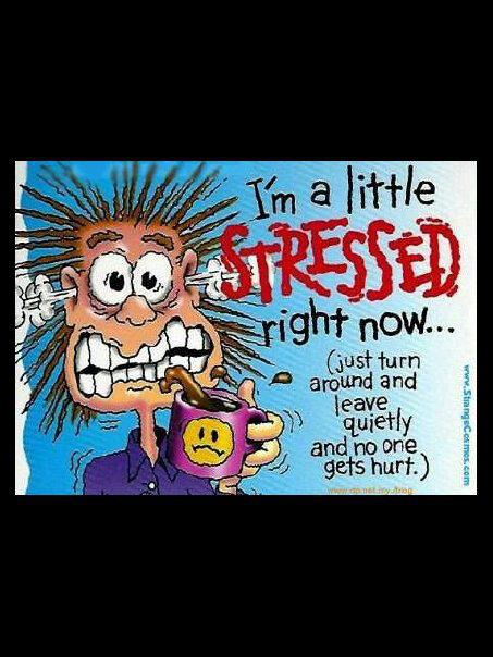 Ms_Chromaz's tweet image. This mofo  name #stress