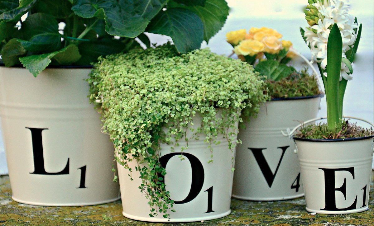 The_Giftologist's tweet image. Today's #FreebieFriday gives you the chance to win a set of 'LOVE' tile style buckets. Simply RT &amp;amp; FLLW by 5pm!