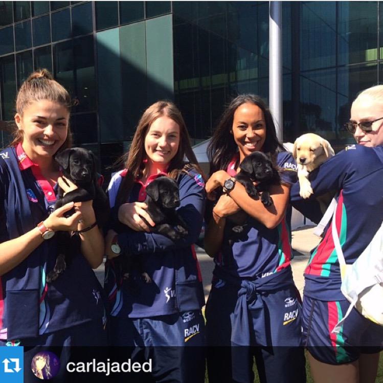 MelbourneVixens's tweet photo. Donate now to the @GoodFriAppeal 1300 277 325 #ForTheKids http://t.co/5i3uXYWHGP