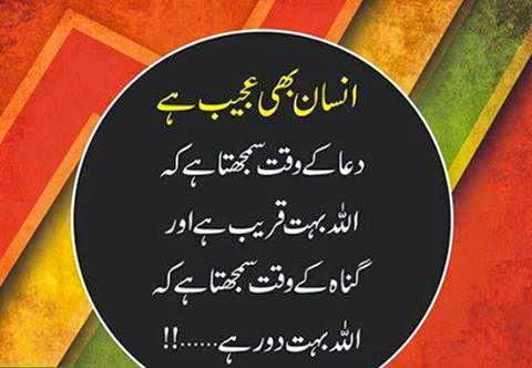 GHaniJAVED's tweet image. 