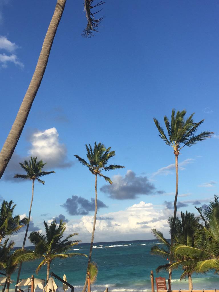 PadenSickles's tweet photo. I could get used to this view http://t.co/u9l50Aem4T