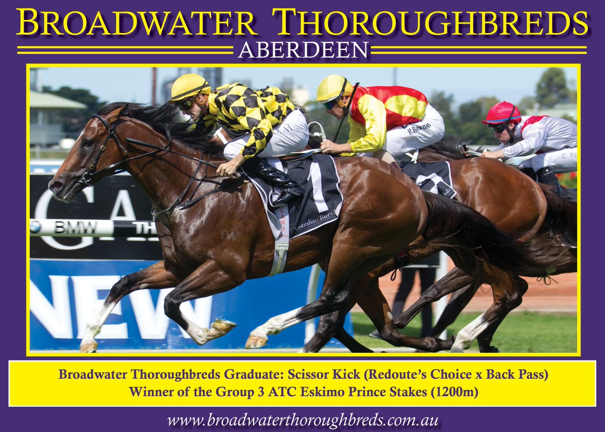 BhimaTBreds's tweet photo. Plenty of inspections for Lot 297, High Chaparral half-bro to #InglisEaster grad #ScissorKick (pic) @ArrowfieldStud http://t.co/x4ImbplNfx