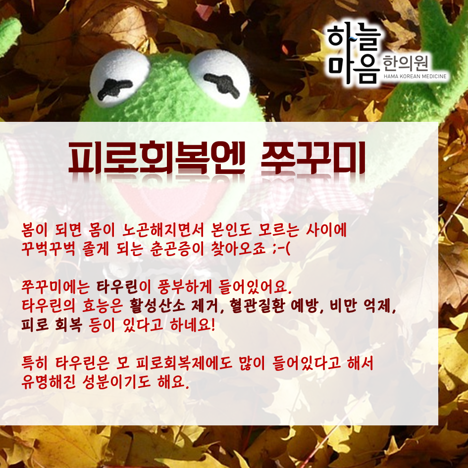 skin8575's tweet photo. 제철맞은 쭈꾸미는 어디에 좋을까요? http://t.co/0oIeHsgHOJ