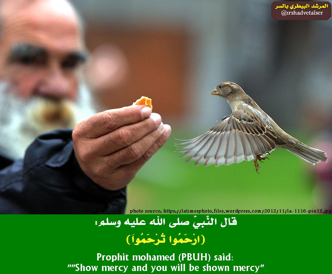 irshadvetalser's tweet photo. رحمة من في (السماء)
تتنزل على من يرحم من في (الأرض)
واذا أردت أن "تُرْحَم" "فأرحم"
اللهم أجعلنا من الراحمين المرحومين http://t.co/jBZwtBDIFT