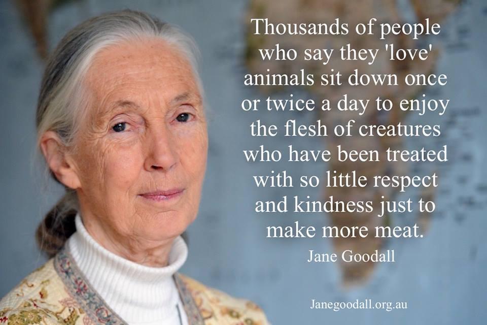 HAPPY 81st FABULOUS BIRTHDAY, to YOU, Dr Jane Goodall!!! What a GIFT YOU ARE to the World!!! 