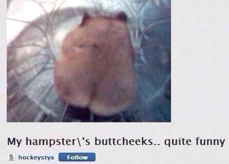 ¿mina? (@virulentmina) on Twitter photo 