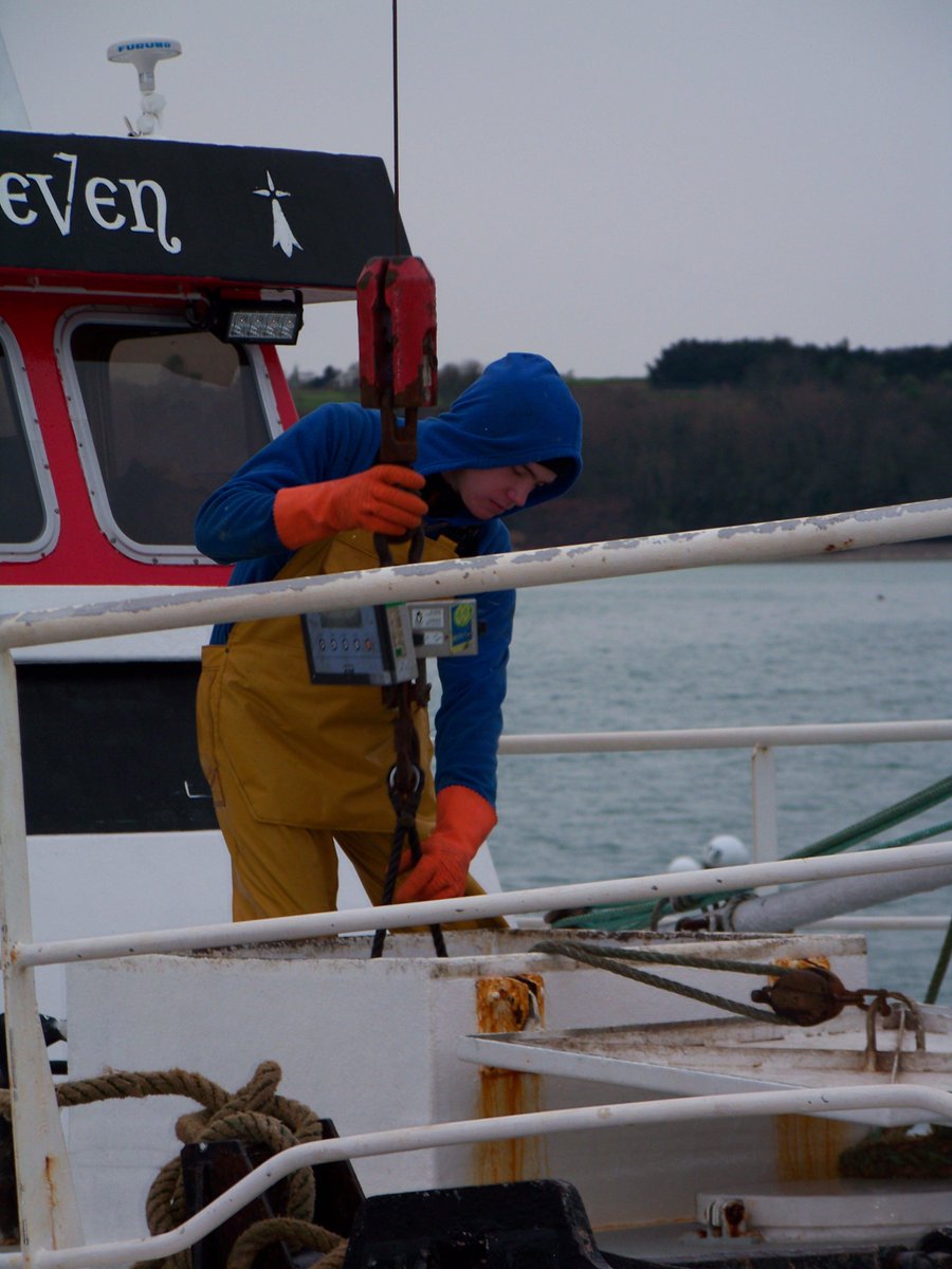 arrivée de poissons frais sur le Port de cancale, ce matin !