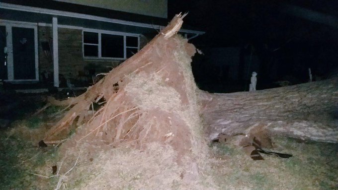 View image on Twitter