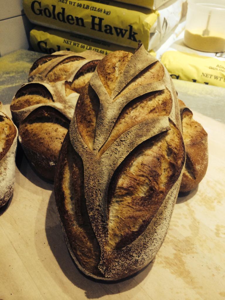 While you were sleeping, we were baking. #sourdough #sourdoughkalamatarosemary #slowdoughbakeshop <a href="/wmhtx/">Weights and Measures</a>